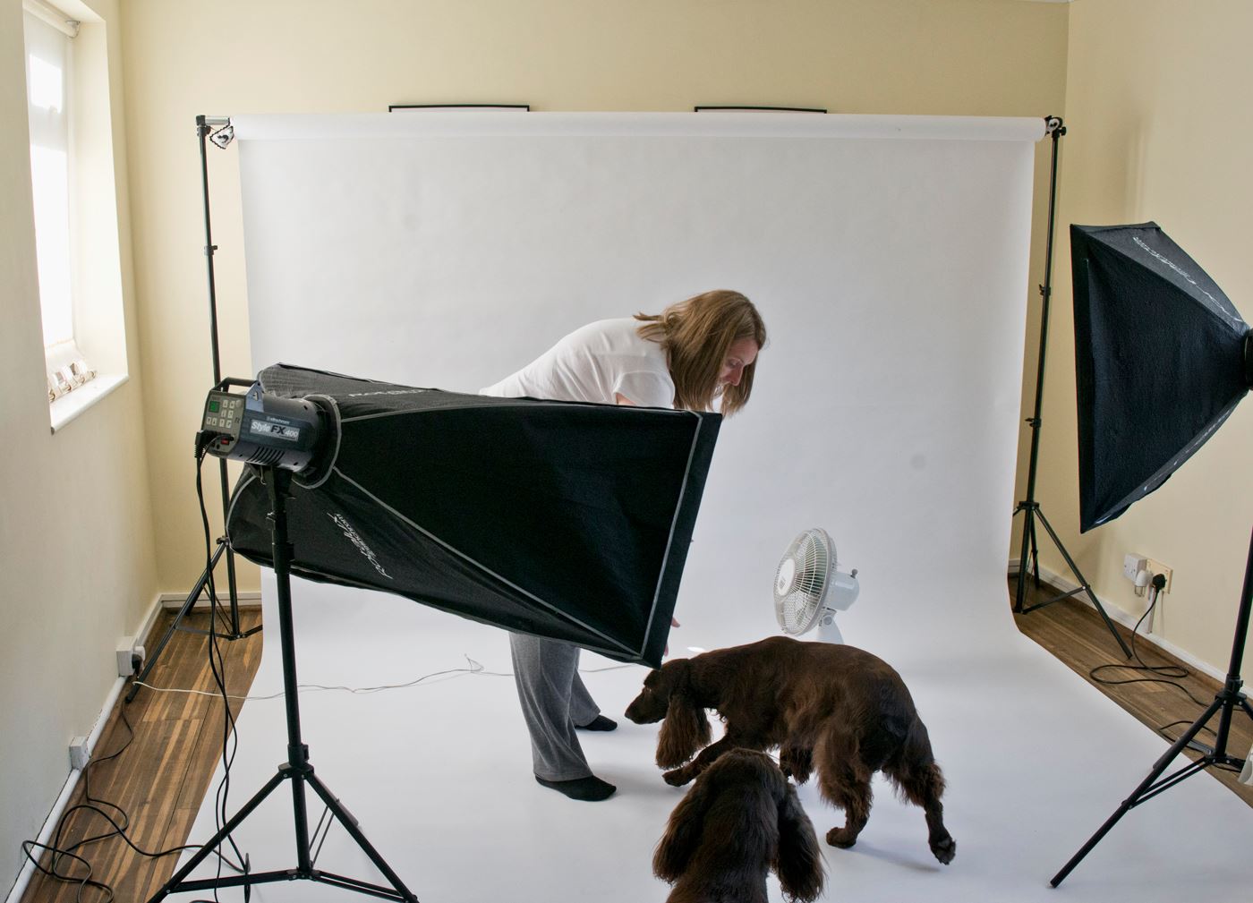 behind the scene
