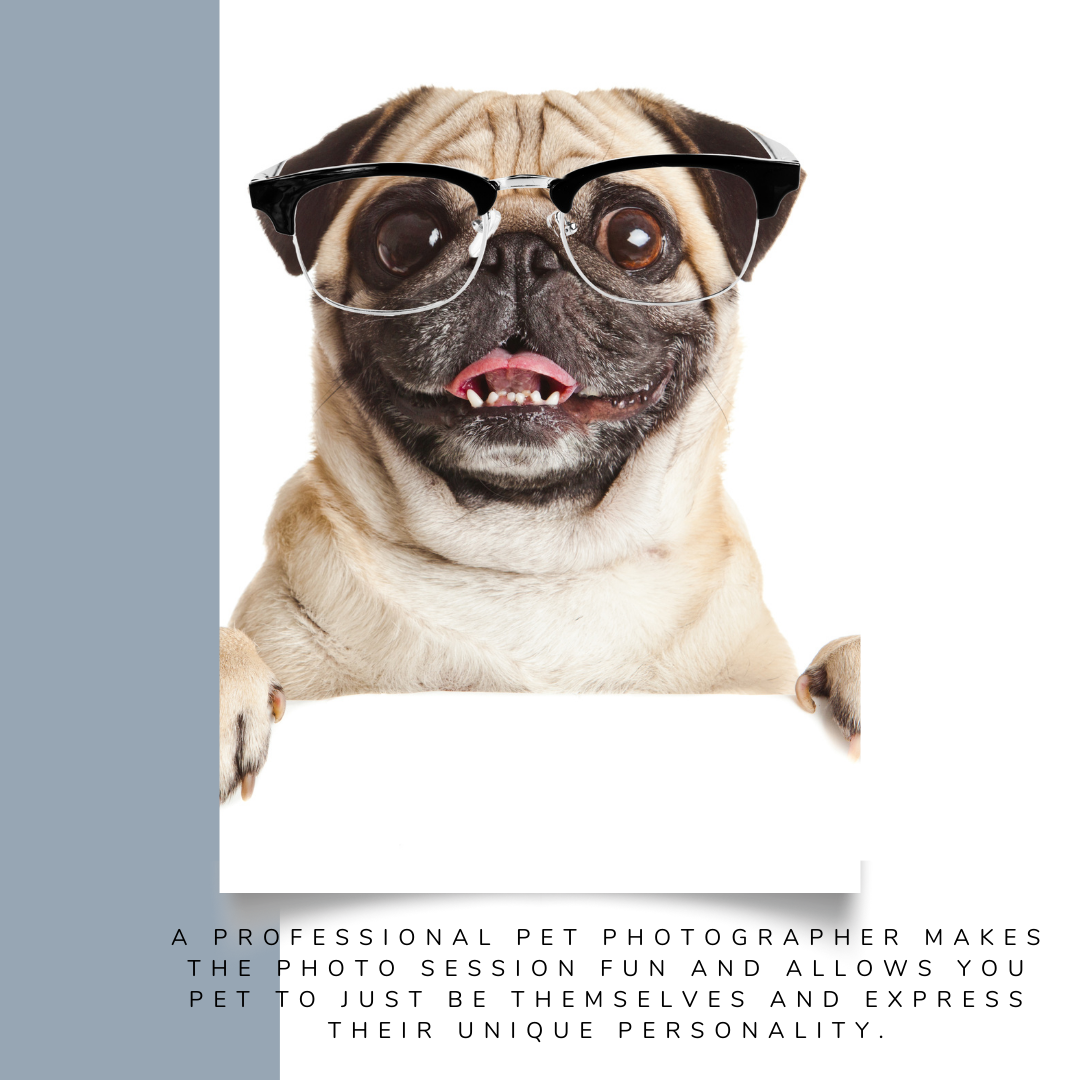 Beauty Instagram Post Template (4) pet photographer