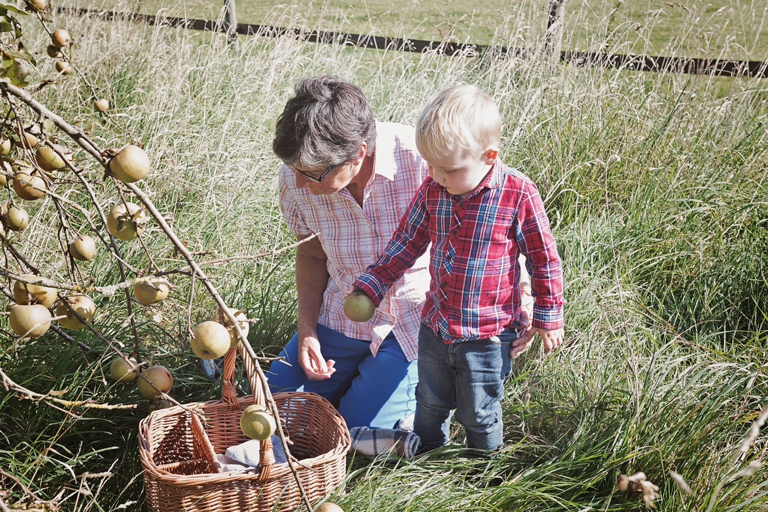 Family photo picking apples