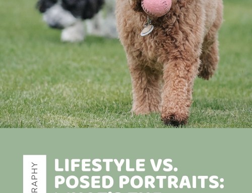 Lifestyle vs. Posed Portraits: What’s the Difference?