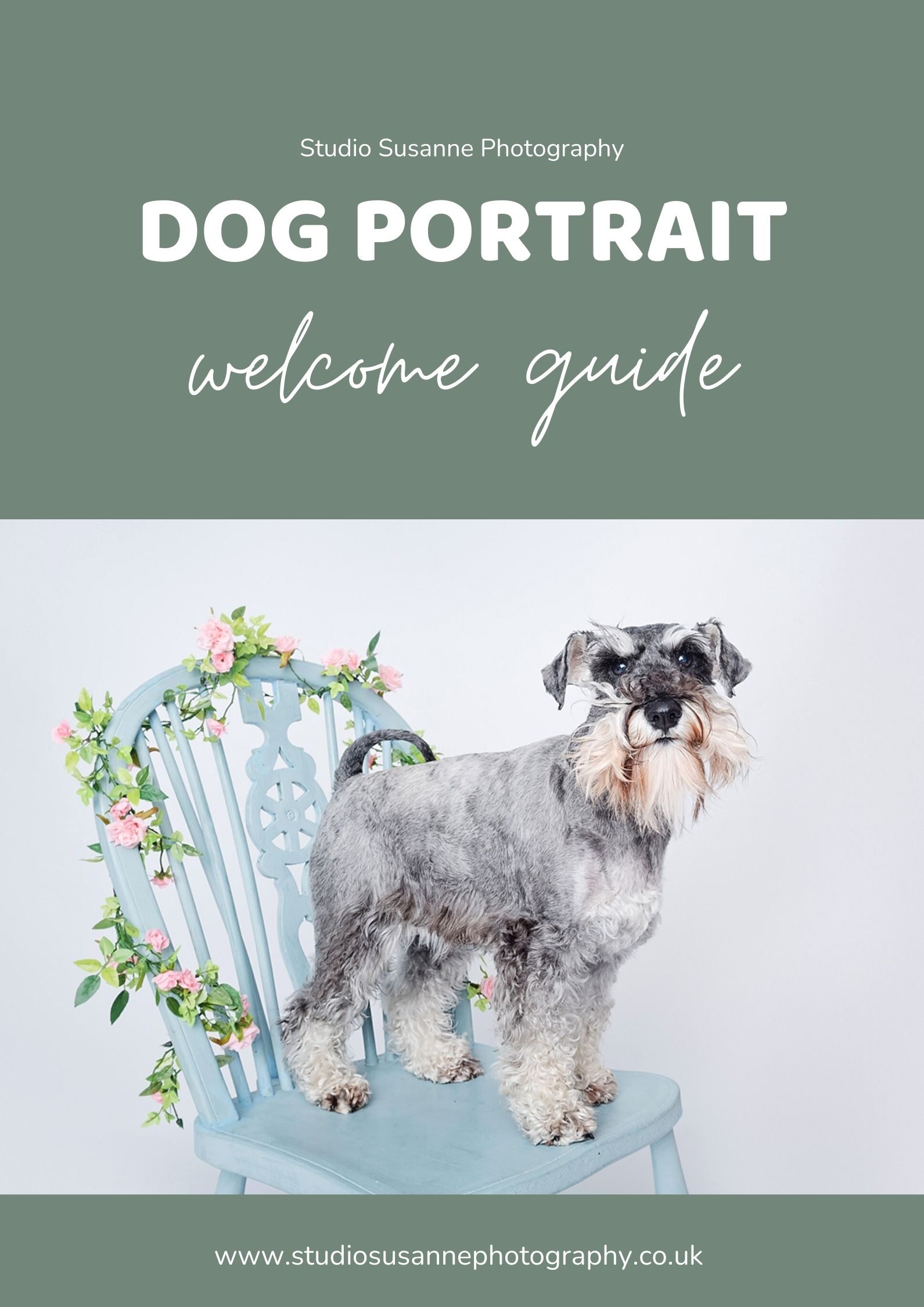 Dog Photgraphy Welcome Guide Dog portrait welcome guide